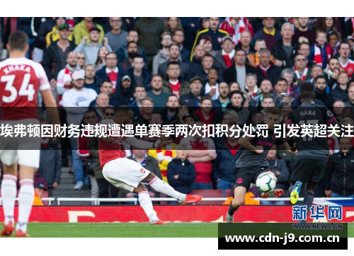 埃弗顿因财务违规遭遇单赛季两次扣积分处罚 引发英超关注 埃弗顿因财务违规遭遇单赛季两次扣积分处罚 引发英超关注